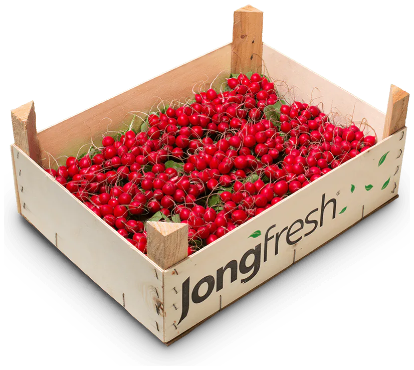 Houten kist met radijs (Rood, Mini)